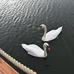 Schwimmende Haeuser Im Baltic Sea