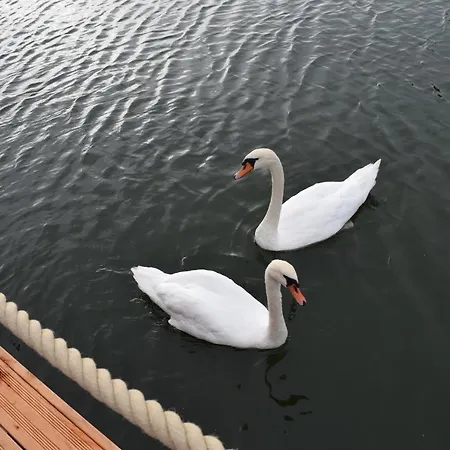 Schwimmende Haeuser Im Baltic Sea
