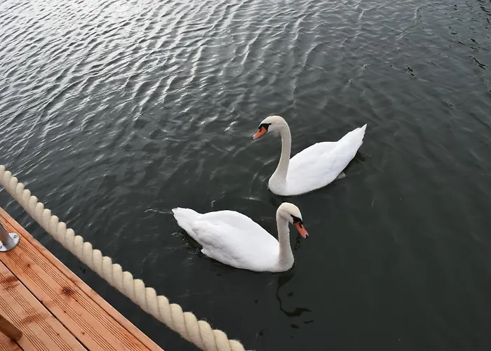 Schwimmende Haeuser Im Baltic Sea
